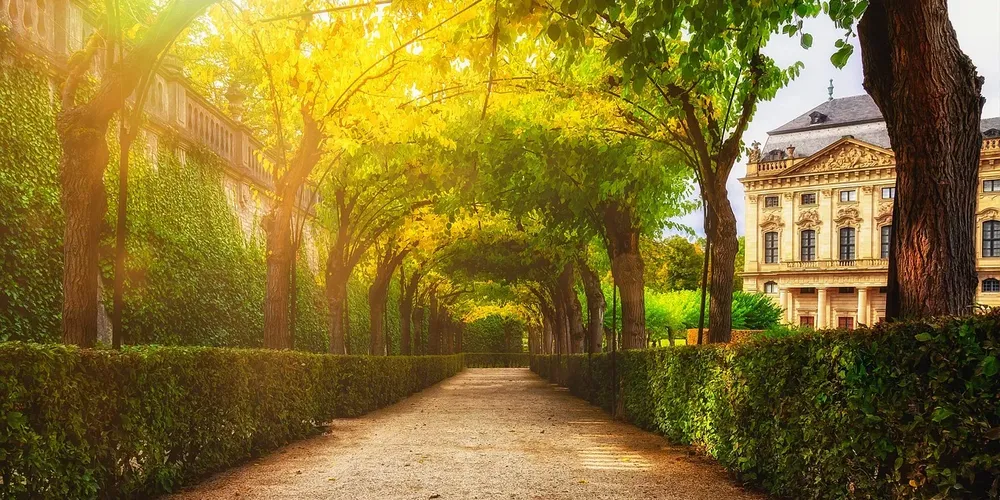 Jardim botânico de Curitiba